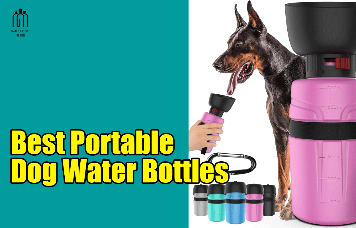 Best Portable Dog Water Bottles