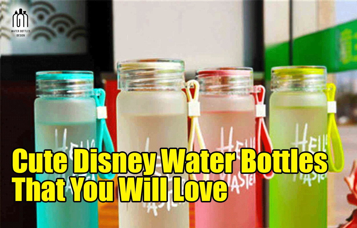 Cute Disney Water Bottles That You Will Love